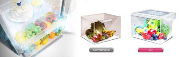 LG REF 201 SLBB|One Door|Silver Platinum colour|169 L|R600 Gas - Image 7